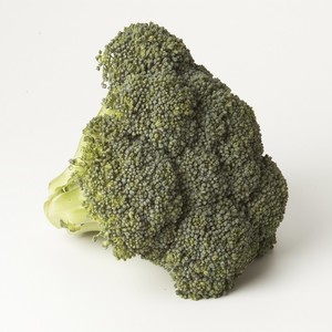 LocalHarvest