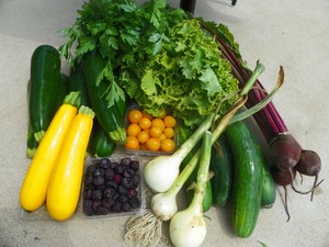 Spiral Path Farm