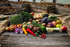 Heron Pond Farm