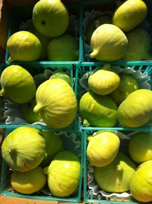 Kitchel Family Organics