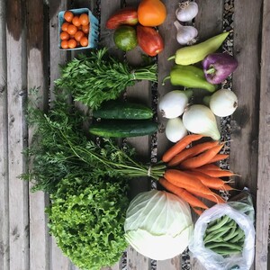Black Kettle Farm