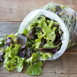 Harvest Tide Organics