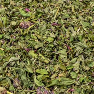 Tomato Mountain Farm