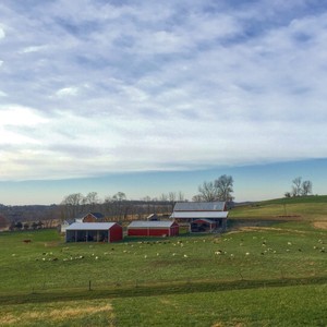 Aerie Farm East