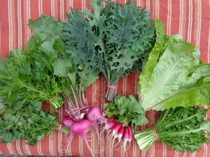 Primaterra Farm