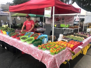 Meadow Rise Farm
