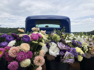 Hillside Blooms