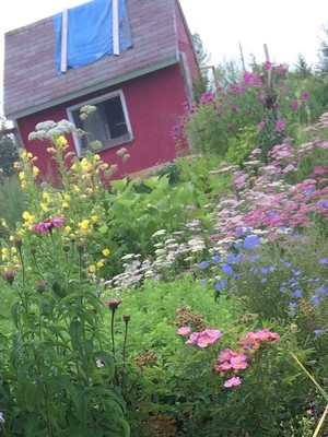 Herb'N Farm & Apothecary