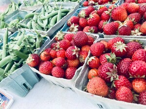 Main Street Beatrice Farmers Market