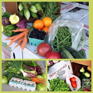 Emily's Produce