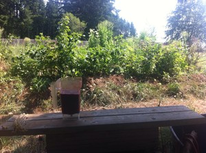 Raised Bed Farms
