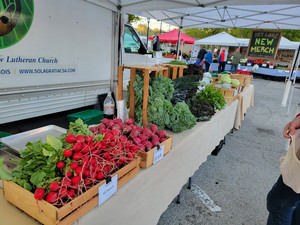 Sola Gratia Farm