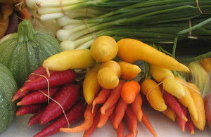 Doylestown Farmers Market