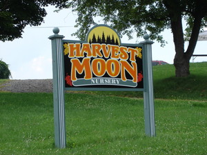 Harvest Moon Nursery, LLC