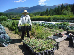 Ronnigers Potato Farm