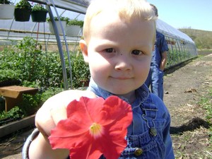 Whitaker Family Produce