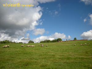 Wholearth Farmstudio