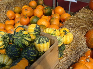 Weskeag Farms