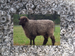 Catoctin Vista Farm