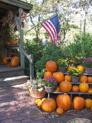Morning Glory Farm