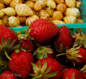 St. Helena Farmers Market