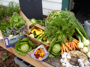 Compass Rose Farms