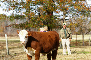 Young Farms