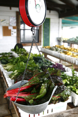 Green String Farm
