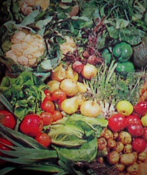 Ms Robin's Garden
