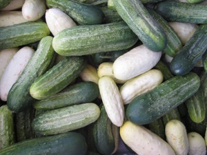 Southwest Farm Fresh Cooperative