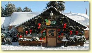 Ludgate Farms