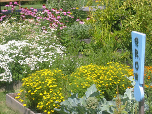 Green Spiral Herbs
