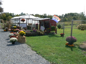Hughes Farms