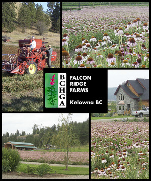 Falcon Ridge Farms