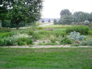 Grandmas Garden