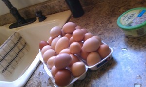 Pugh Farms: Our eggs don't stink