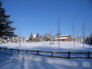 Spruce Hill Farm