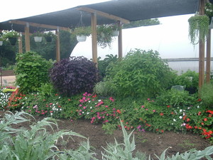 Wilmore Gardens LLC
