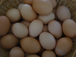Millix Family Farm