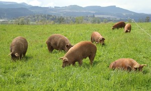 Heritage Farms Northwest LLC