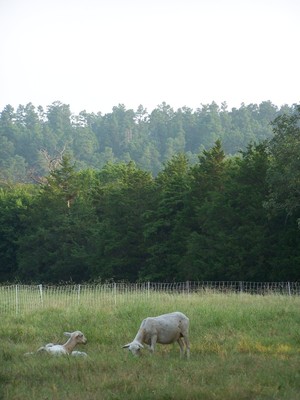 French Prairie Farm