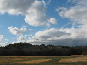 Lindentree Farm