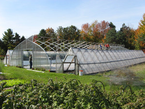 The Farm at Ndibendaagwaz