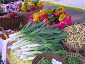Bear Creek Farms