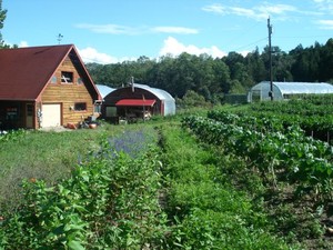 Community Supported Garden at Genesis Farm