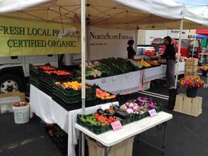 North Slope Farm
