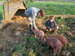 Earth's Harvest Farm