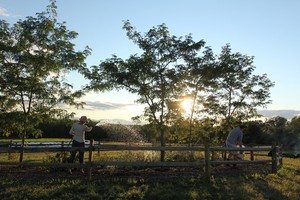 Roxbury Farm