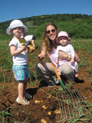 Great Country Farms