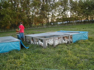 Zweber Farms
